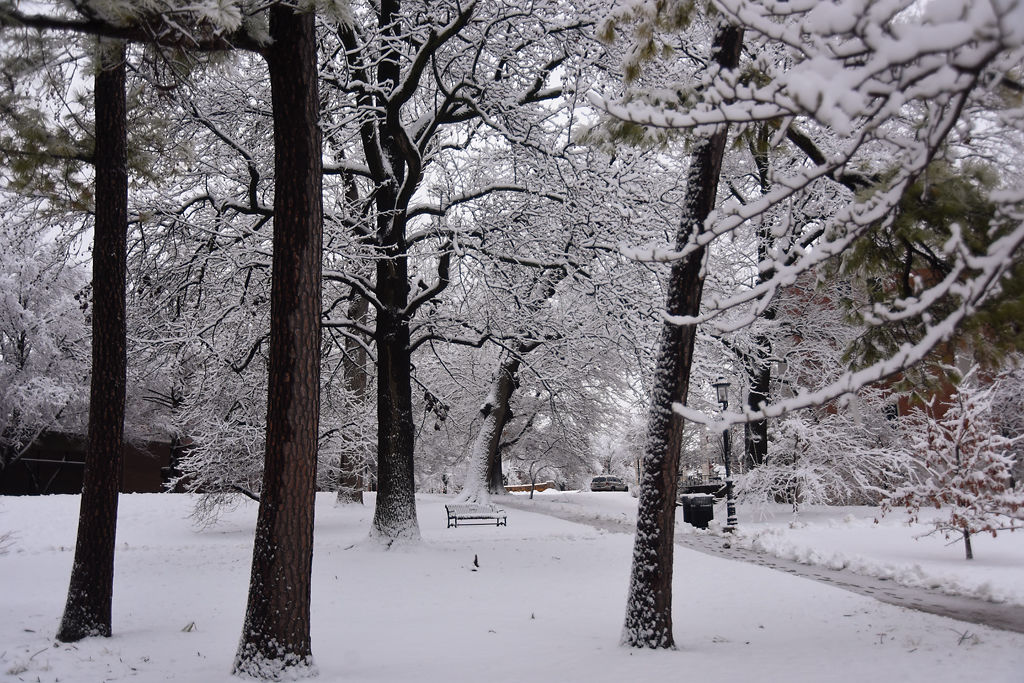 Snowfall carried through Friday morning